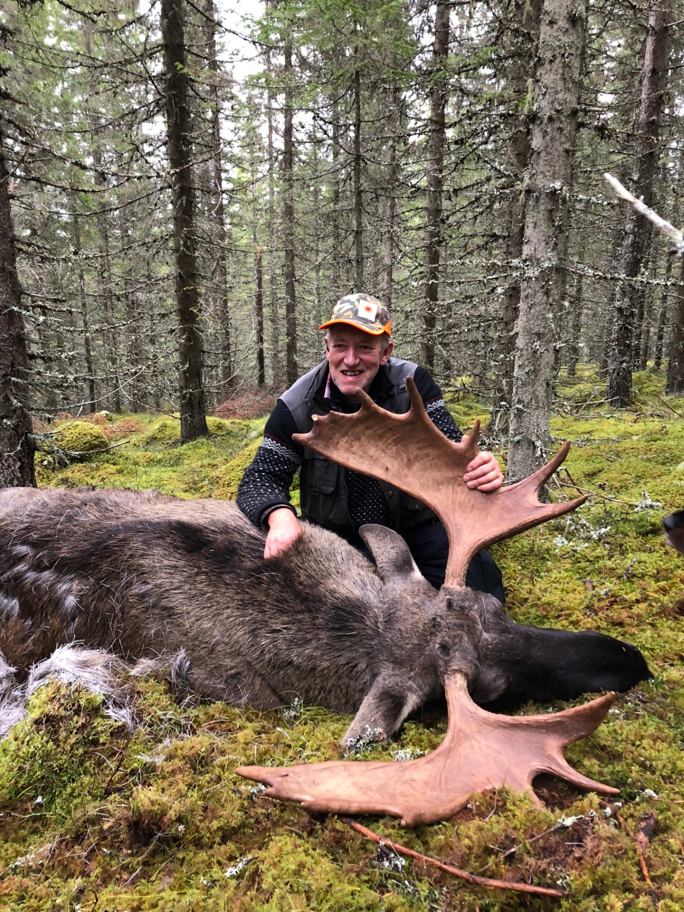 Jägare med fälld älgtjur i mossig skog